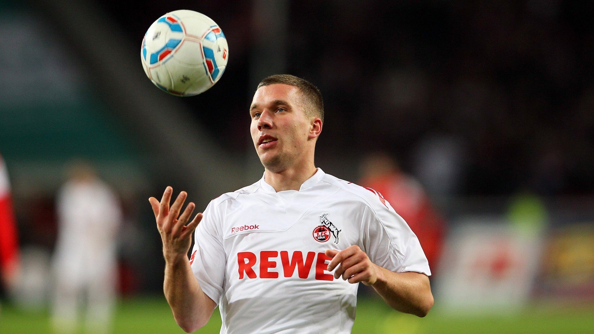 上海大鲨鱼 进攻体系革新，上海大鲨鱼战况