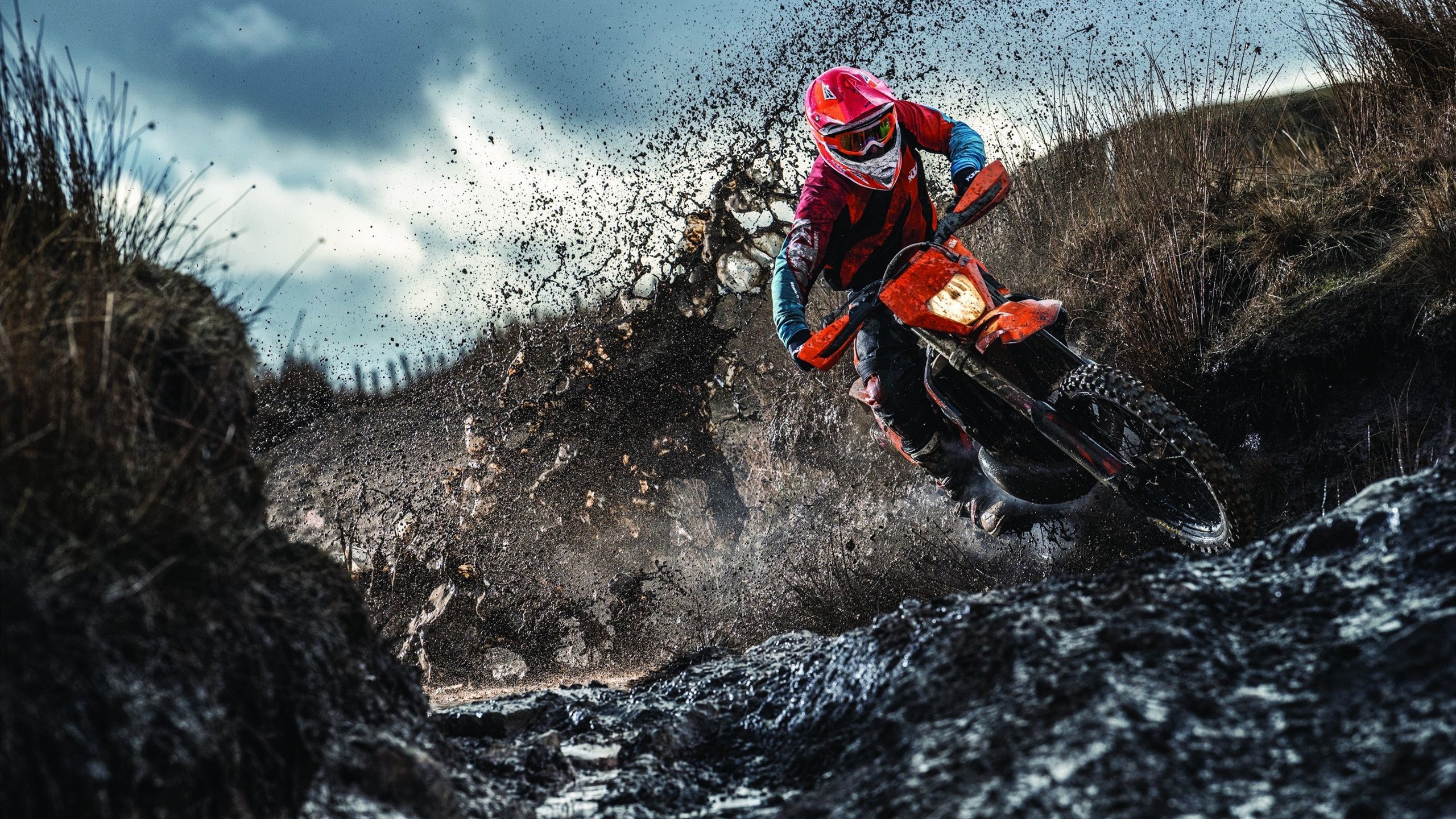 九游体育官网入口-张雨霏自由泳速度快人一步，张雨霏自由泳实力